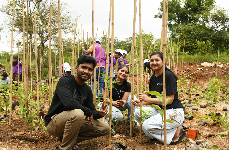 Tree Planting Drive in Bangalore